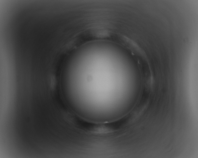 X0000101470704200807071443