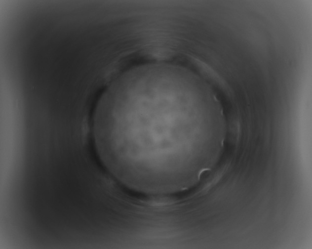 X0000101470707200807071443
