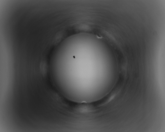 X0000101470708200807071443