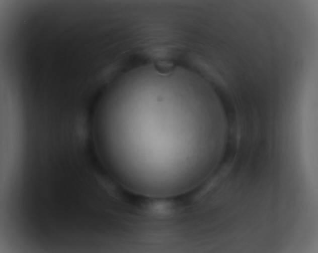 X0000101470710200807071443