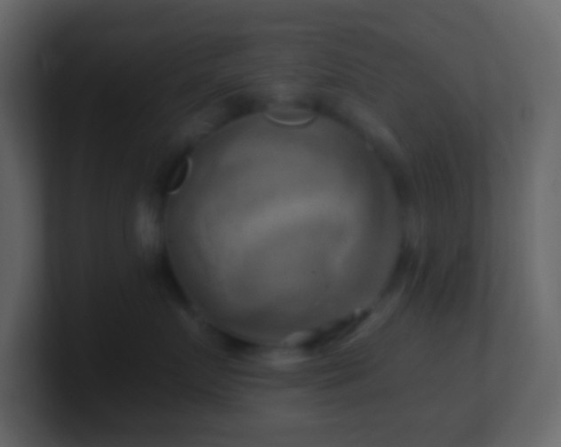 X0000101470719200807071443