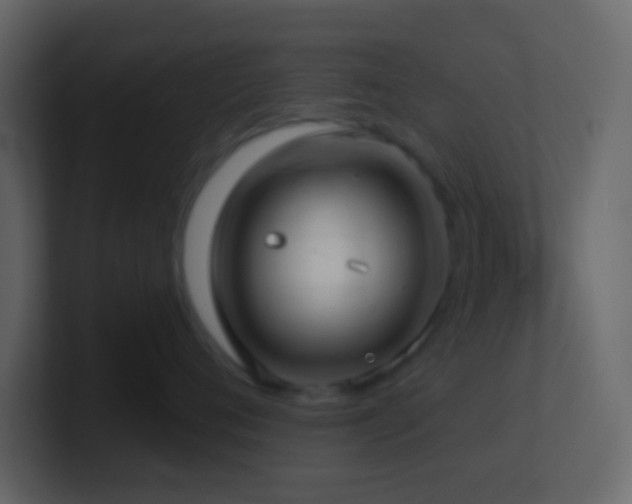 X0000101470720200807071443