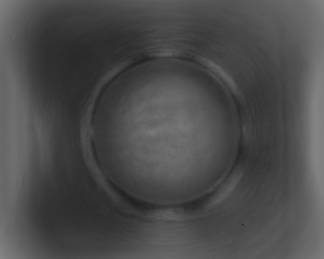 X0000101470721200807071442