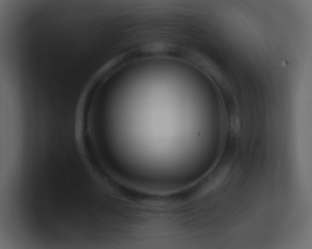 X0000101470724200807071442