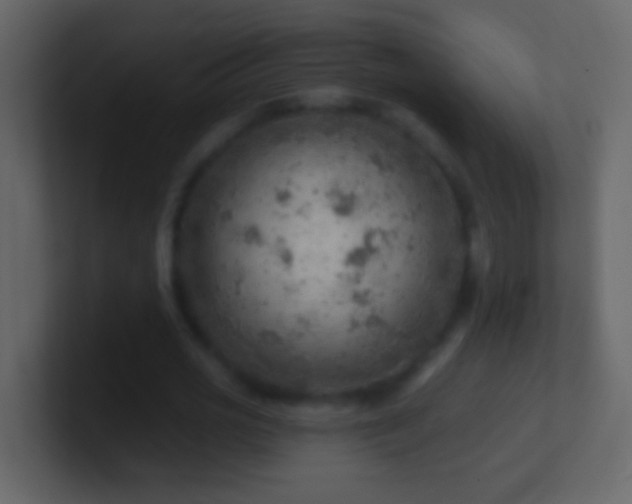 X0000101470725200807071442