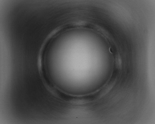 X0000101470726200807071442