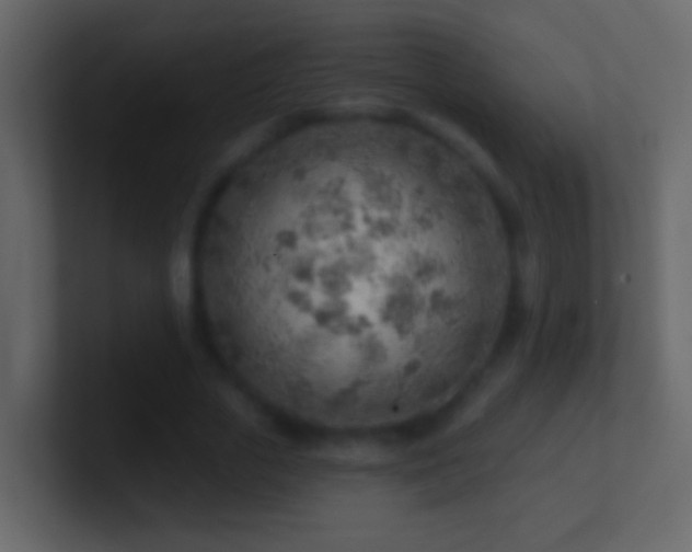 X0000101470729200807071442
