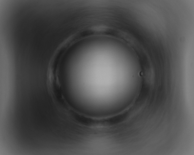 X0000101470731200807071442