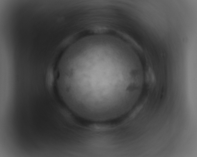 X0000101470733200807071442