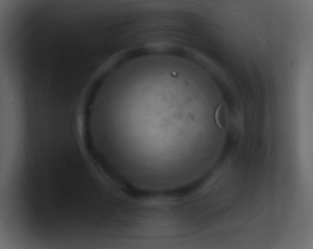 X0000101470734200807071442
