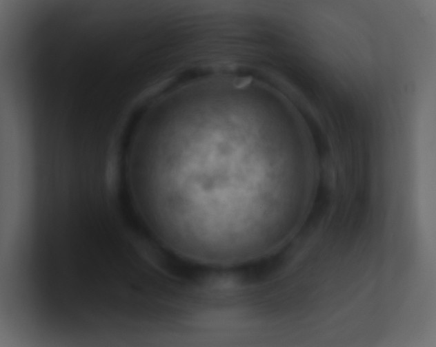 X0000101470735200807071442