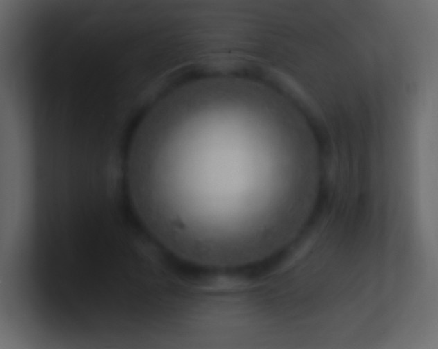 X0000101470737200807071443
