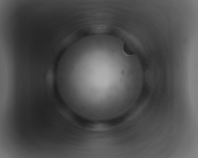 X0000101470741200807071443