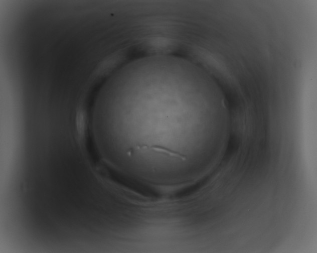 X0000101470742200807071443