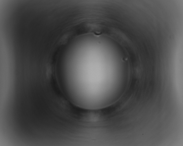 X0000101470756200807071443