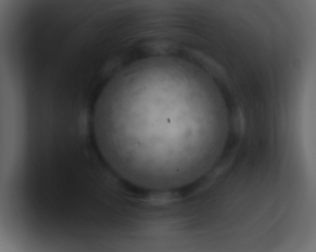 X0000101470757200807071443