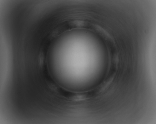 X0000101470760200807071443