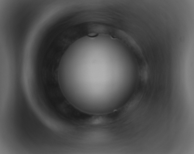 X0000101470764200807071443