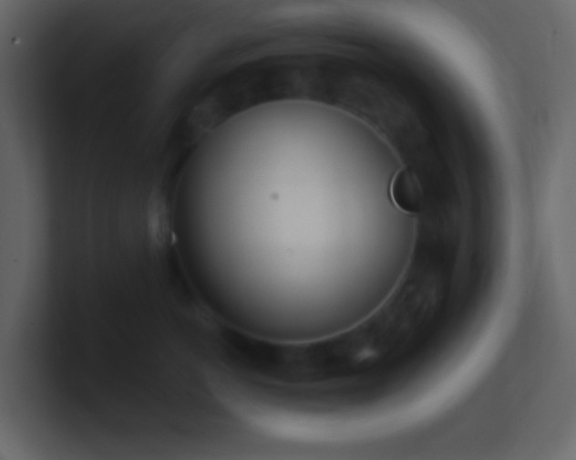 X0000101470766200807071443