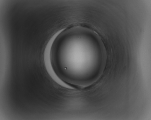 X0000101470768200807071443