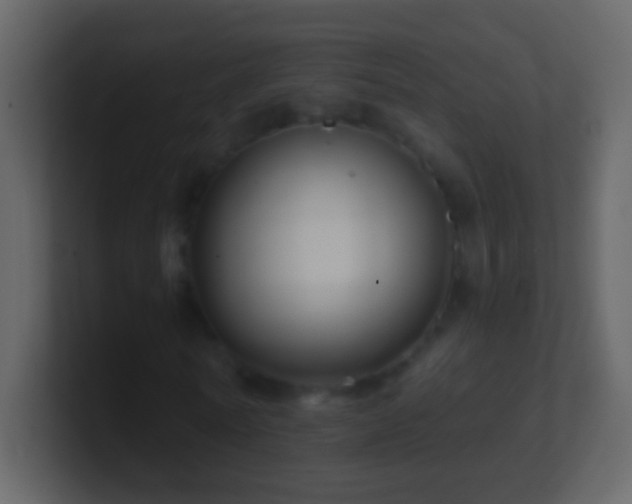X0000101470770200807071442