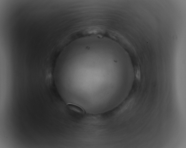 X0000101470771200807071442