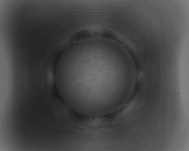 X0000101470772200807071442