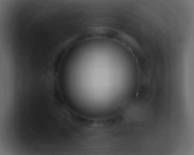 X0000101470773200807071442