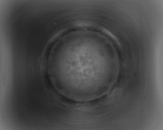 X0000101470775200807071442