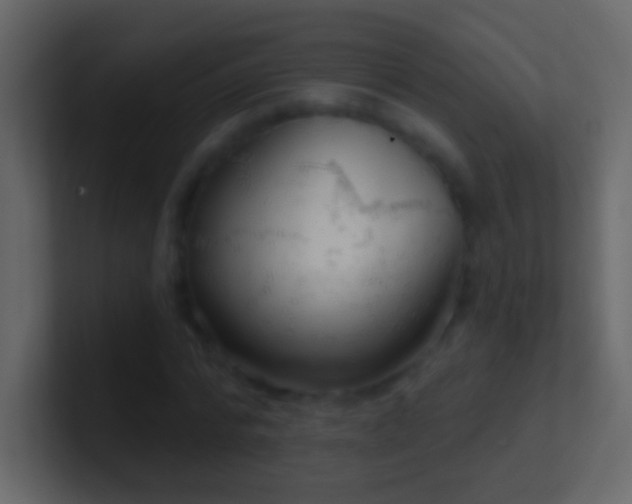 X0000101470776200807071442
