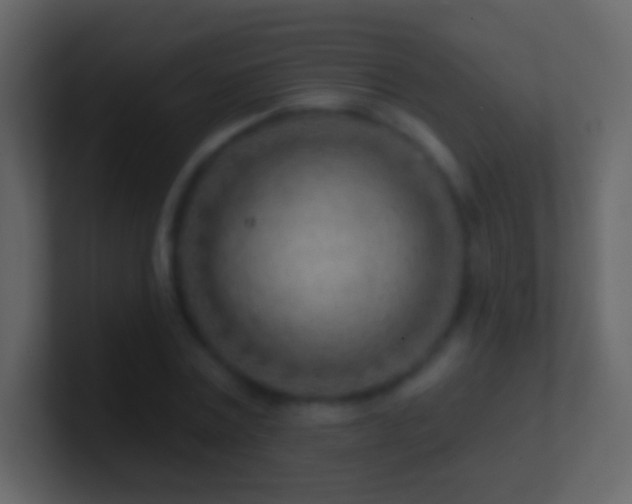 X0000101470779200807071442