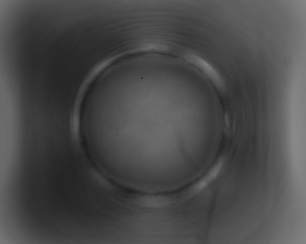 X0000101470780200807071442
