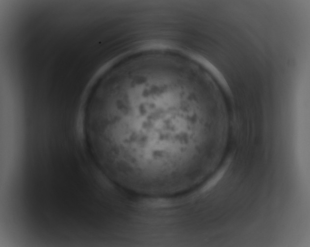 X0000101470783200807071442