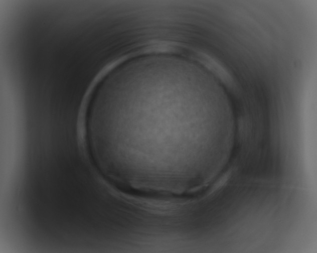X0000101470784200807071442