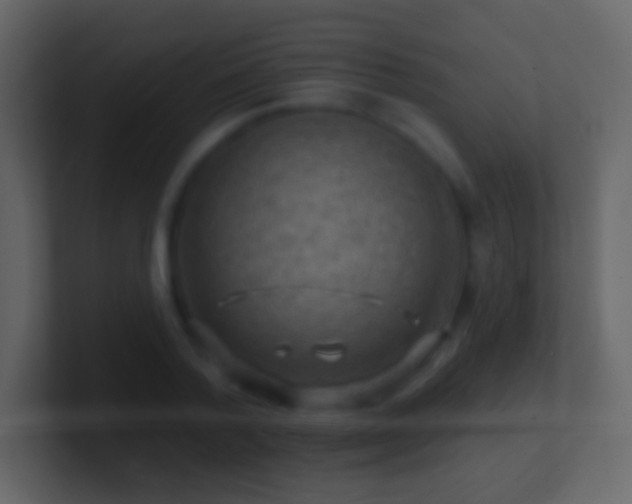 X0000101470788200807071442