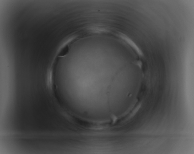 X0000101470790200807071442