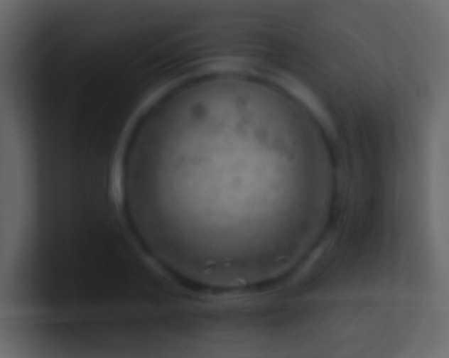 X0000101470791200807071442