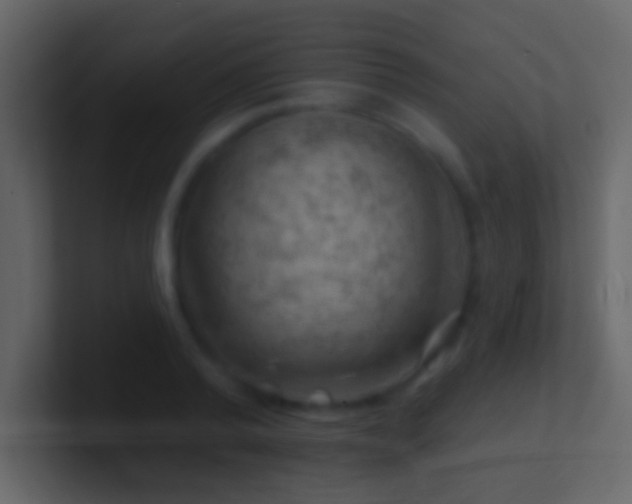 X0000101470792200807071442