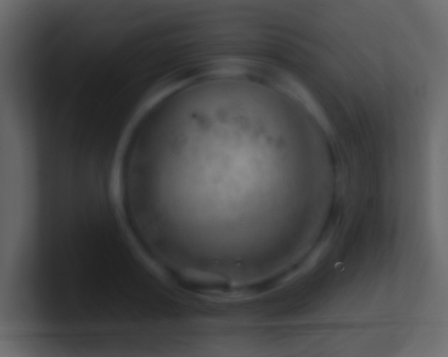 X0000101470795200807071442