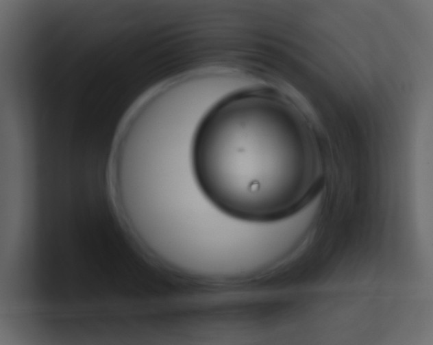 X0000101470796200807071442