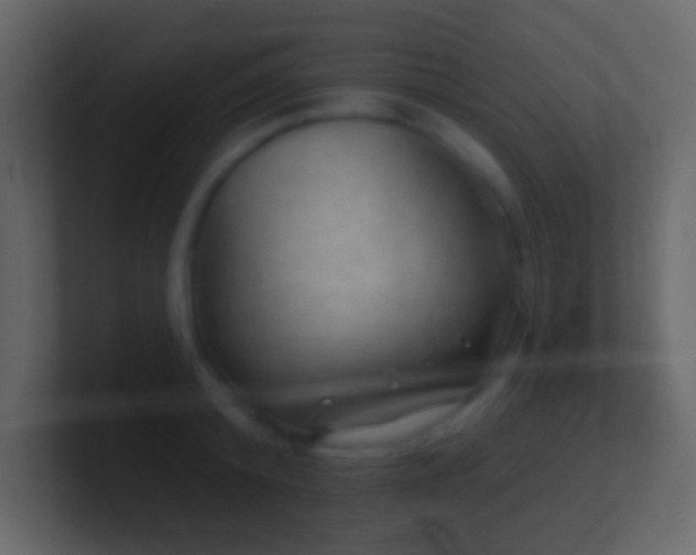 X0000101470800200807071442