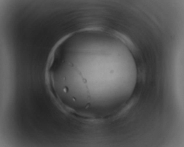 X0000101470804200807071442