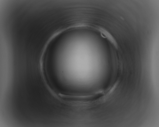 X0000101470805200807071442