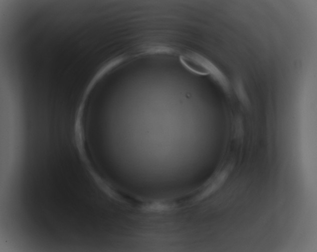 X0000101470806200807071442