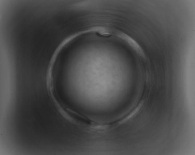 X0000101470808200807071442