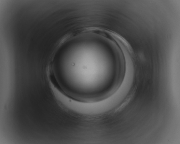 X0000101470809200807071442