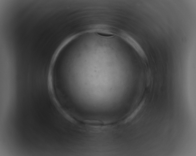 X0000101470812200807071442