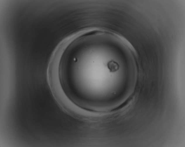 X0000101470813200807071442