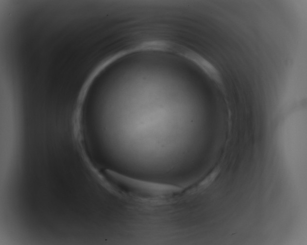 X0000101470816200807071442