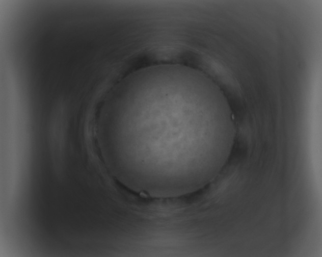 X0000101470817200807071441